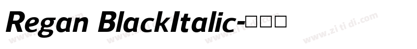 Regan BlackItalic字体转换